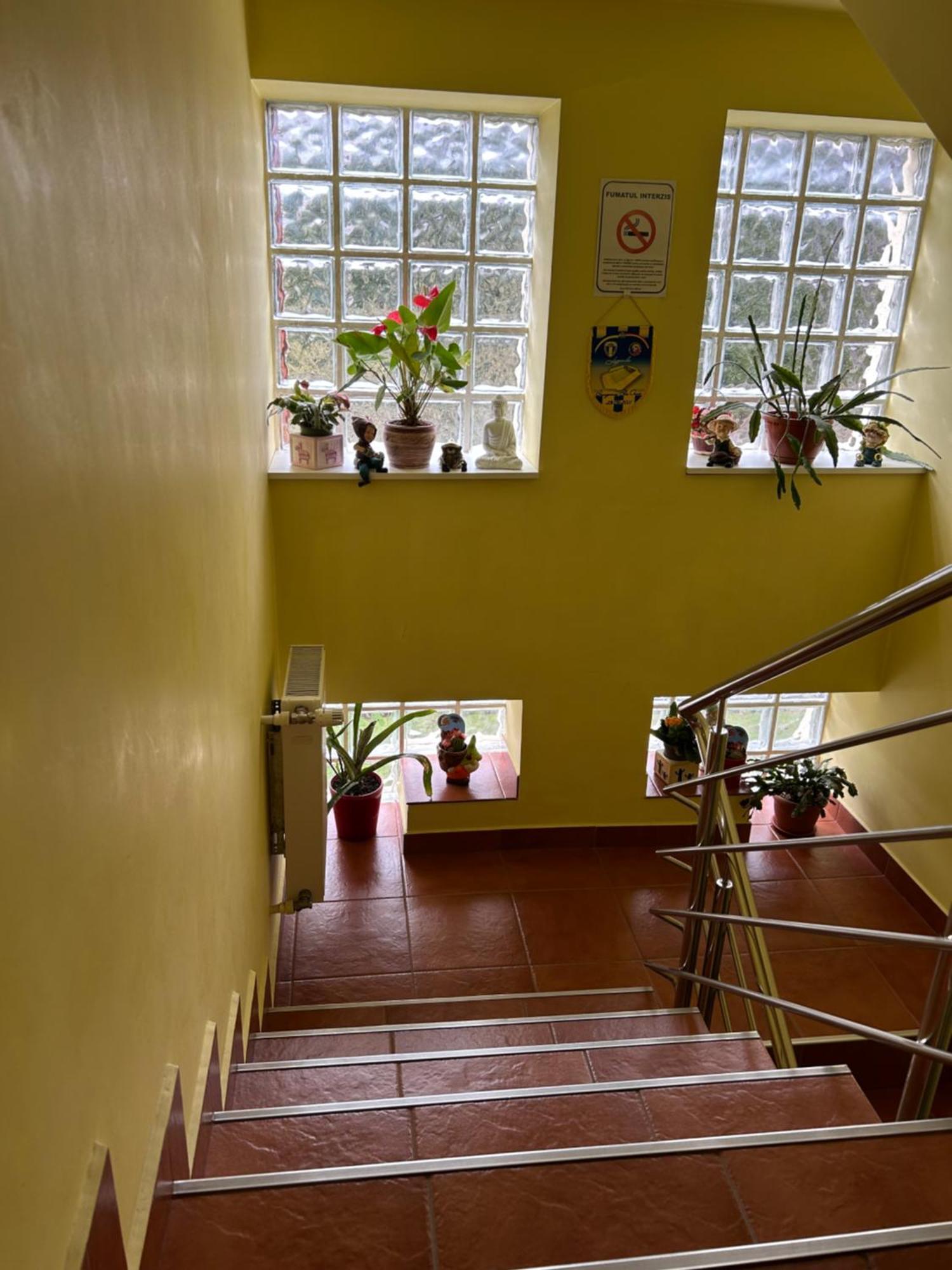 Casa Ador Hotel ซินายา ภายนอก รูปภาพ